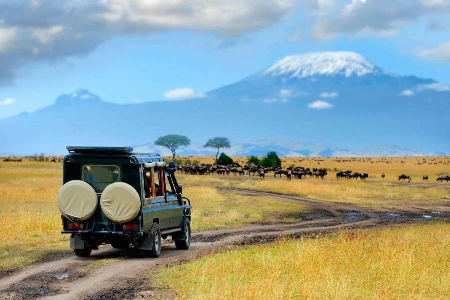 Photography Safaris