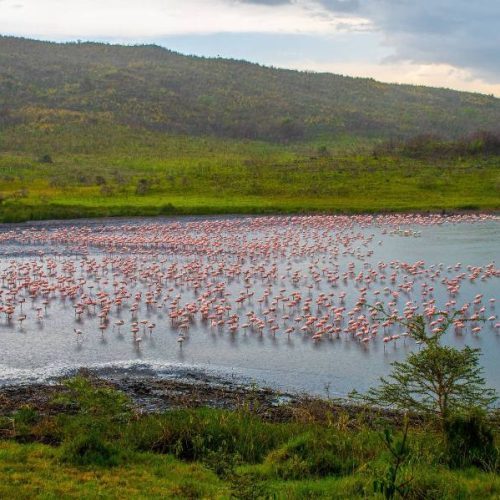 Arusha_National_Park2