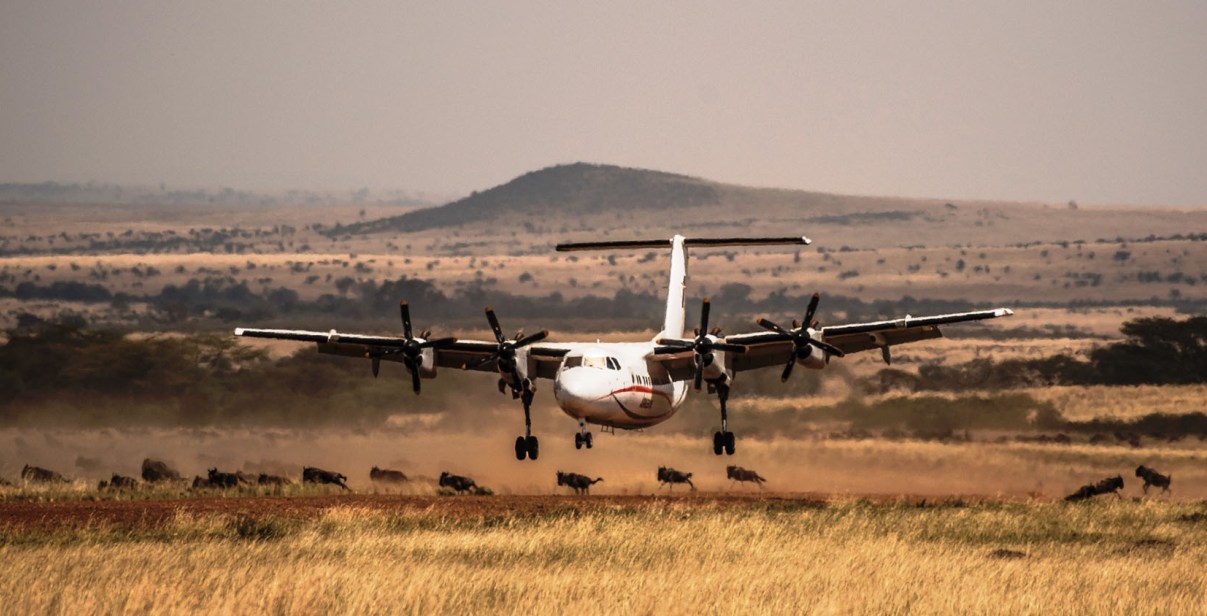 Flying Safaris