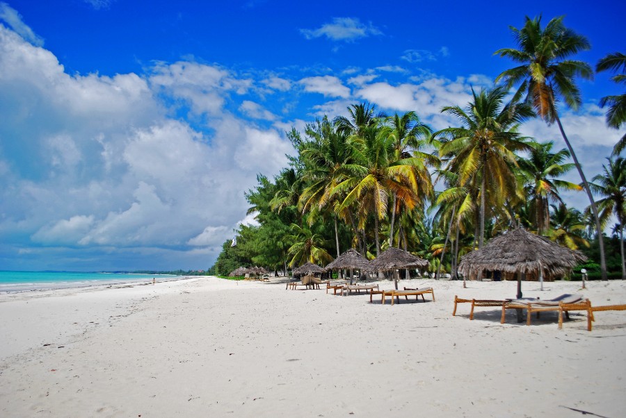 Bush & Beach Holidays