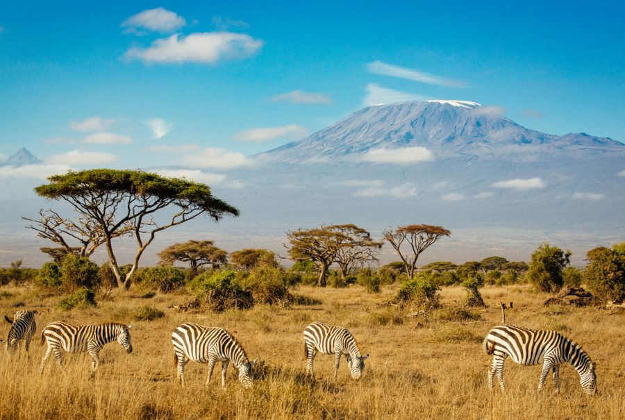 5 Days Amboseli Photography Safari – Magical Mt. Kilimanjaro Background