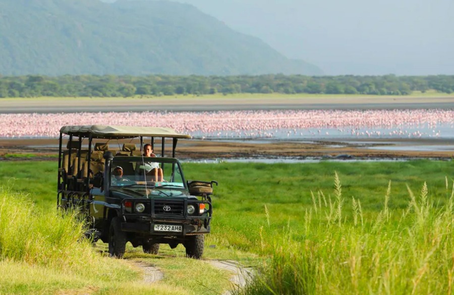 8 Days Masai Mara, Lake Manyara, Ngorongoro & Serengeti Budget Safari