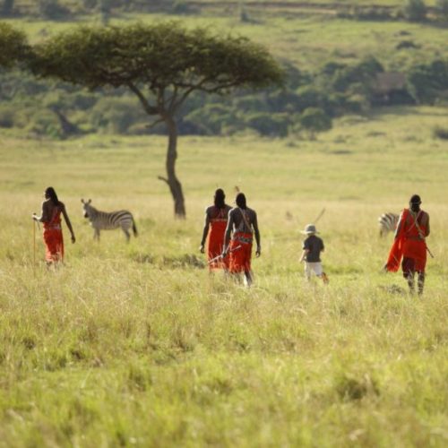 mara-savannah (2)