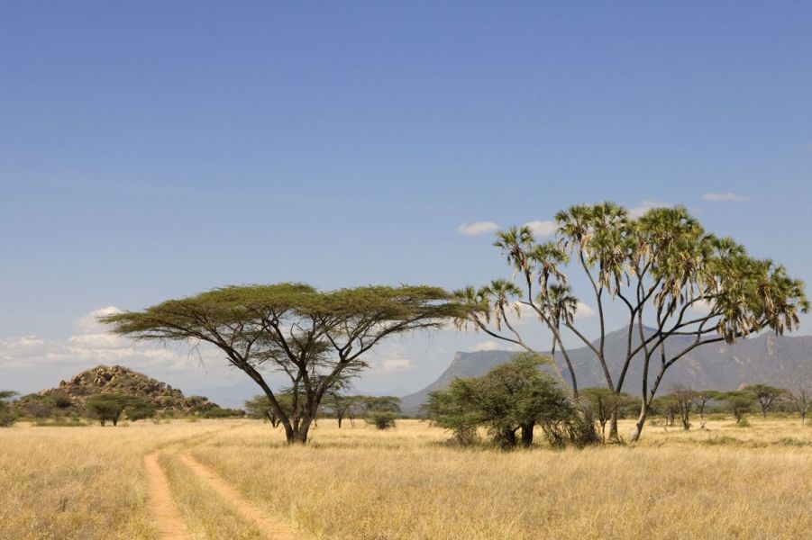 10 Days Kenya Photographic Flying Safari: Samburu & Masai Mara