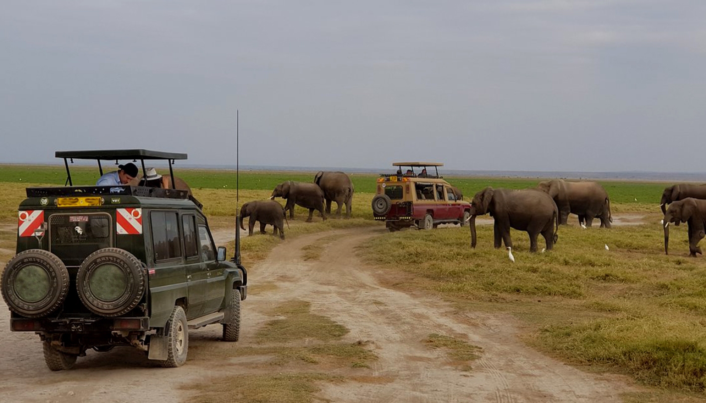 5 Days, 4 Nights Amboseli & Masai Mara Luxury Air Safari