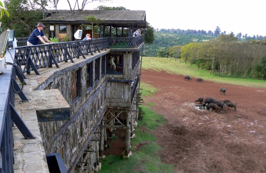 10 Days Aberdares, Sweetwaters, Tsavo West, Taita Hills & Malindi Beach